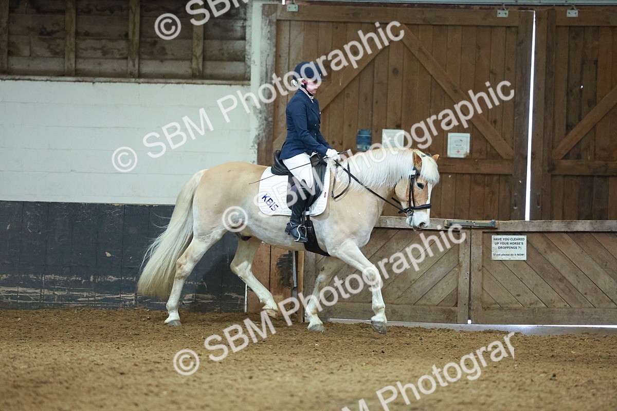 SBM_003909 - Novice 2