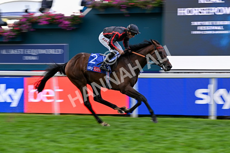 190826-Race 3-Maltese Cross-1083 - Race 3 15.00pm Sky Bet Great Voltigeur Stakes