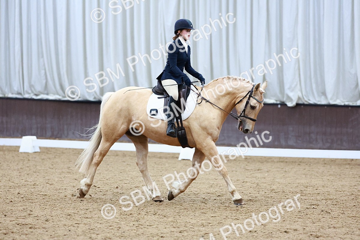 0B8A8280 - Class 5 - Novice 2