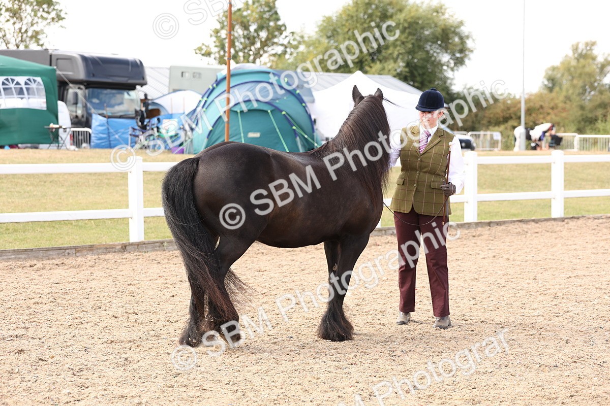 SBM_15084 - Class 209 - IH Veteran Pony