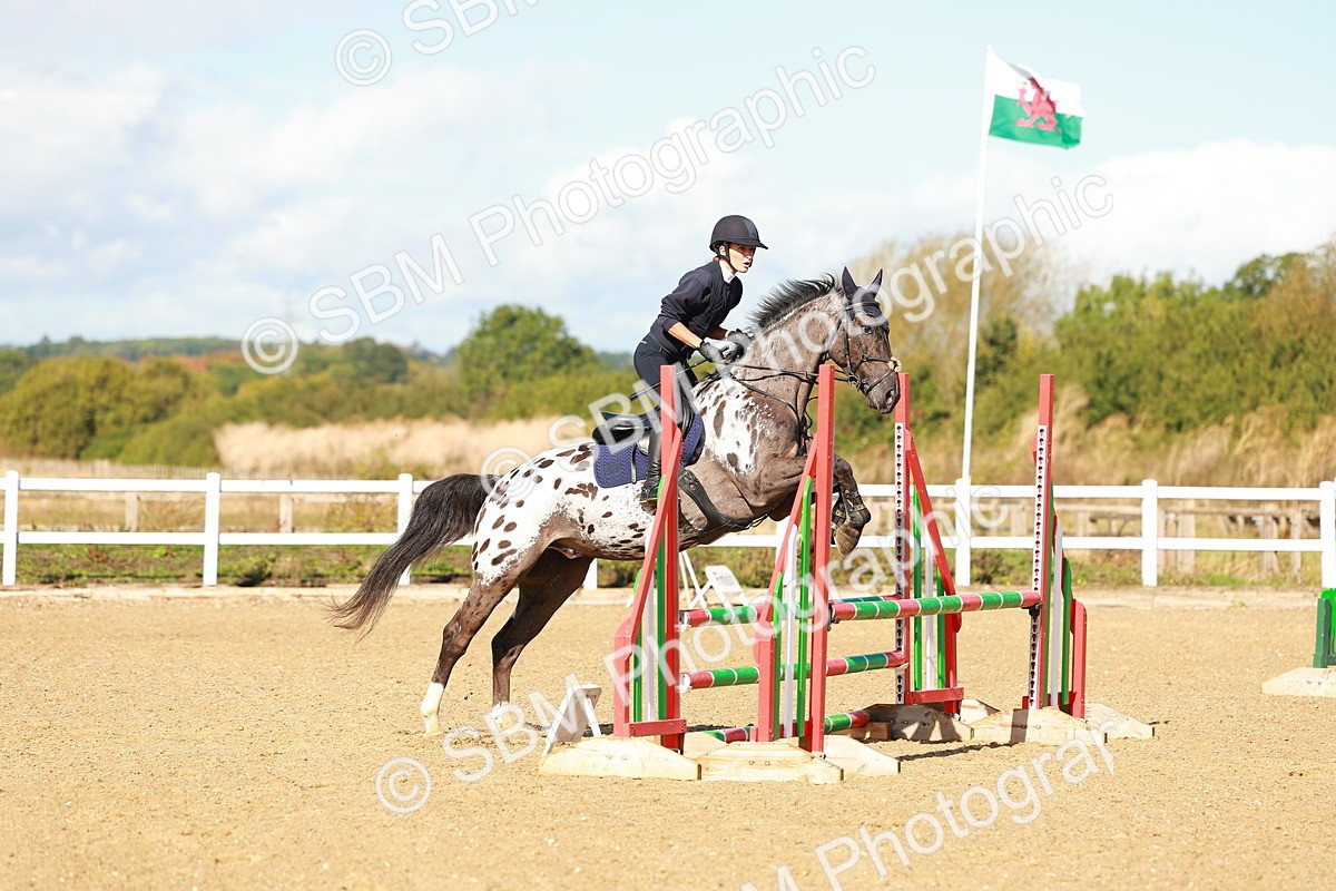 SBM_000381 - Class 2 - Senior British Novice - 90cm