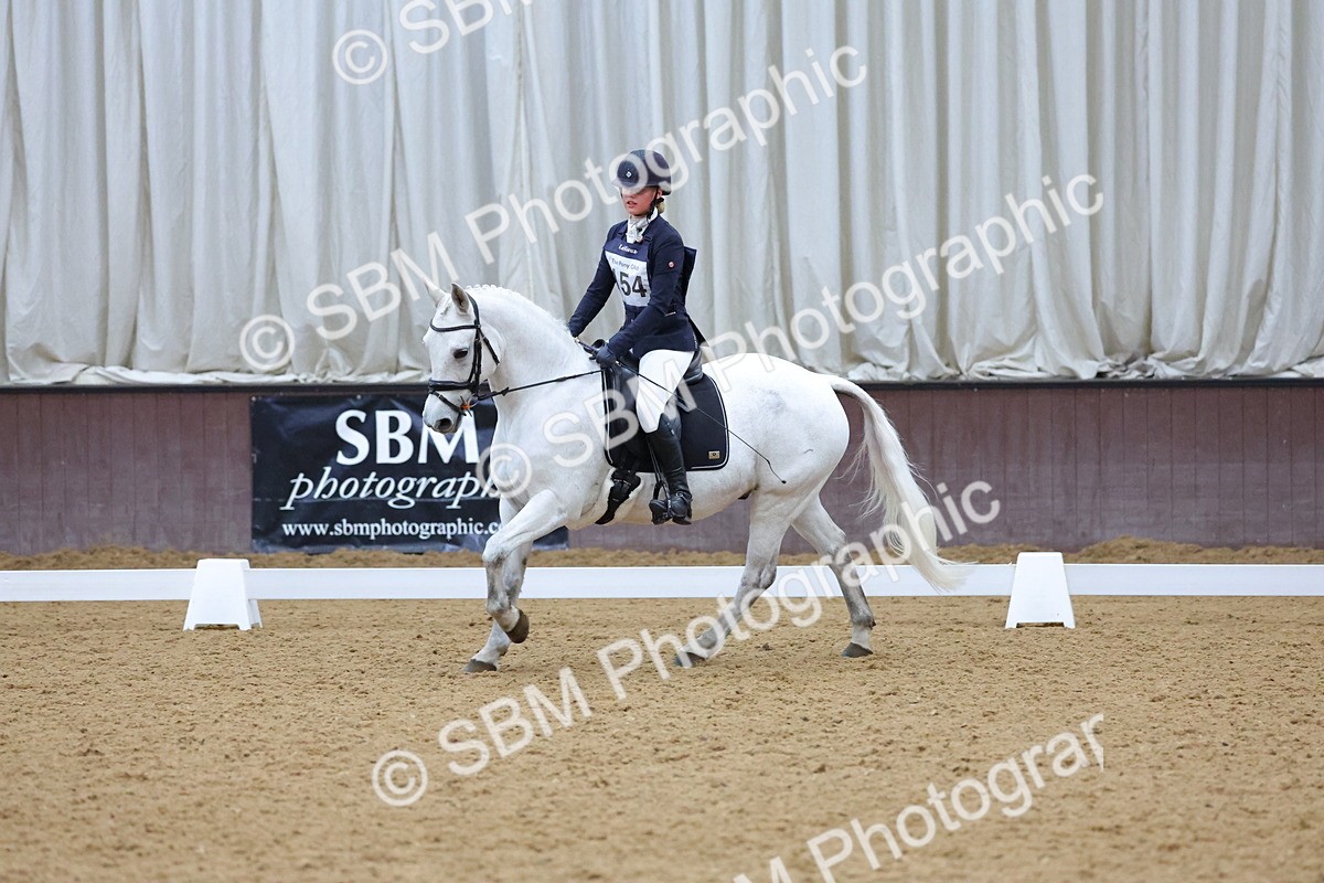 SBM_004170 - Intermediate