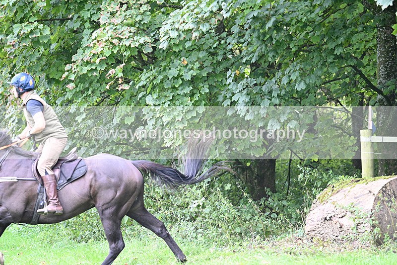 WJ7_8113 - Time 14:11 to 14:30