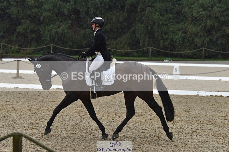 231018-154328-00860 - 012-ROMANY.CRICKET-Nana.Dalton-DR