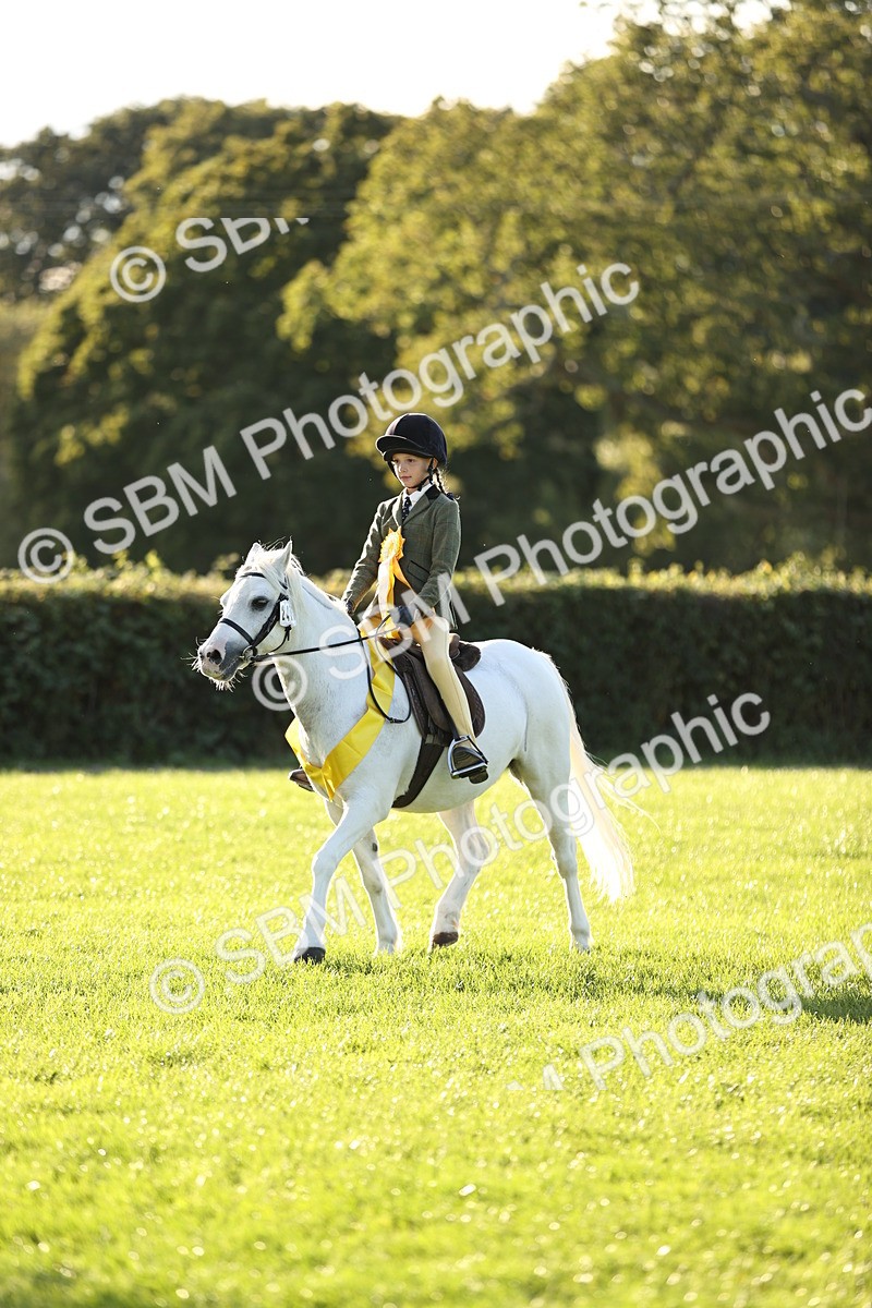 SBM_30117 - Novice & Newcomers Supreme Championship
