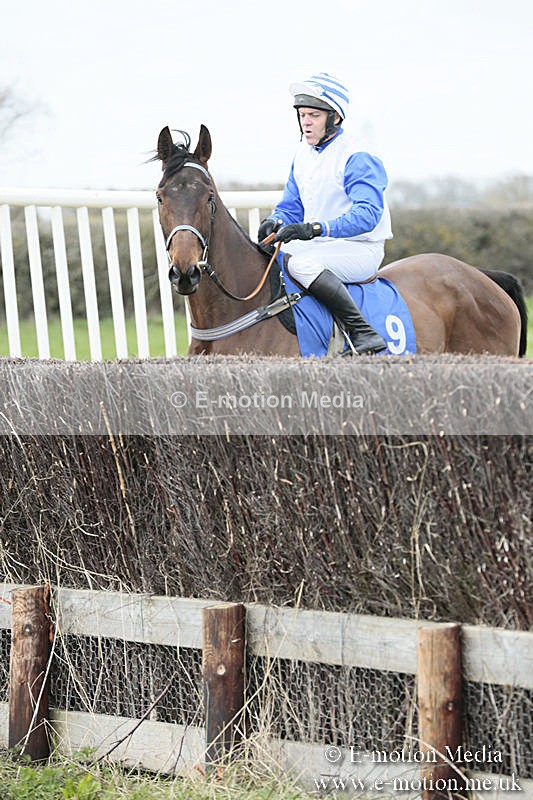 PtP 230319 52 - VWH Hunt Siddington Point-to-Point Racing 23/03/19
