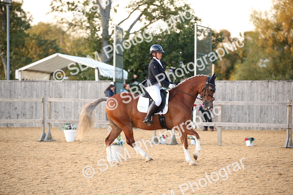 SBM_31638 - D11 - Small Tour Championship - Prelim 13