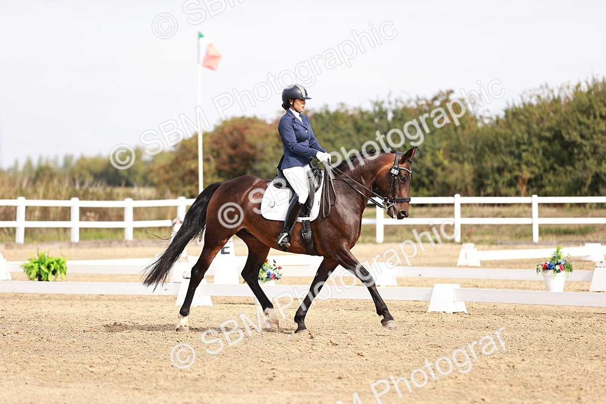 SBM_017564 - Class 11 - Advanced Medium 6