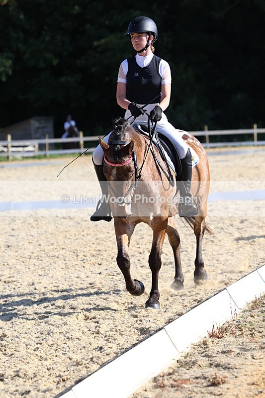 3E7A3622 - Class 2: Intro 1 2024 Section B