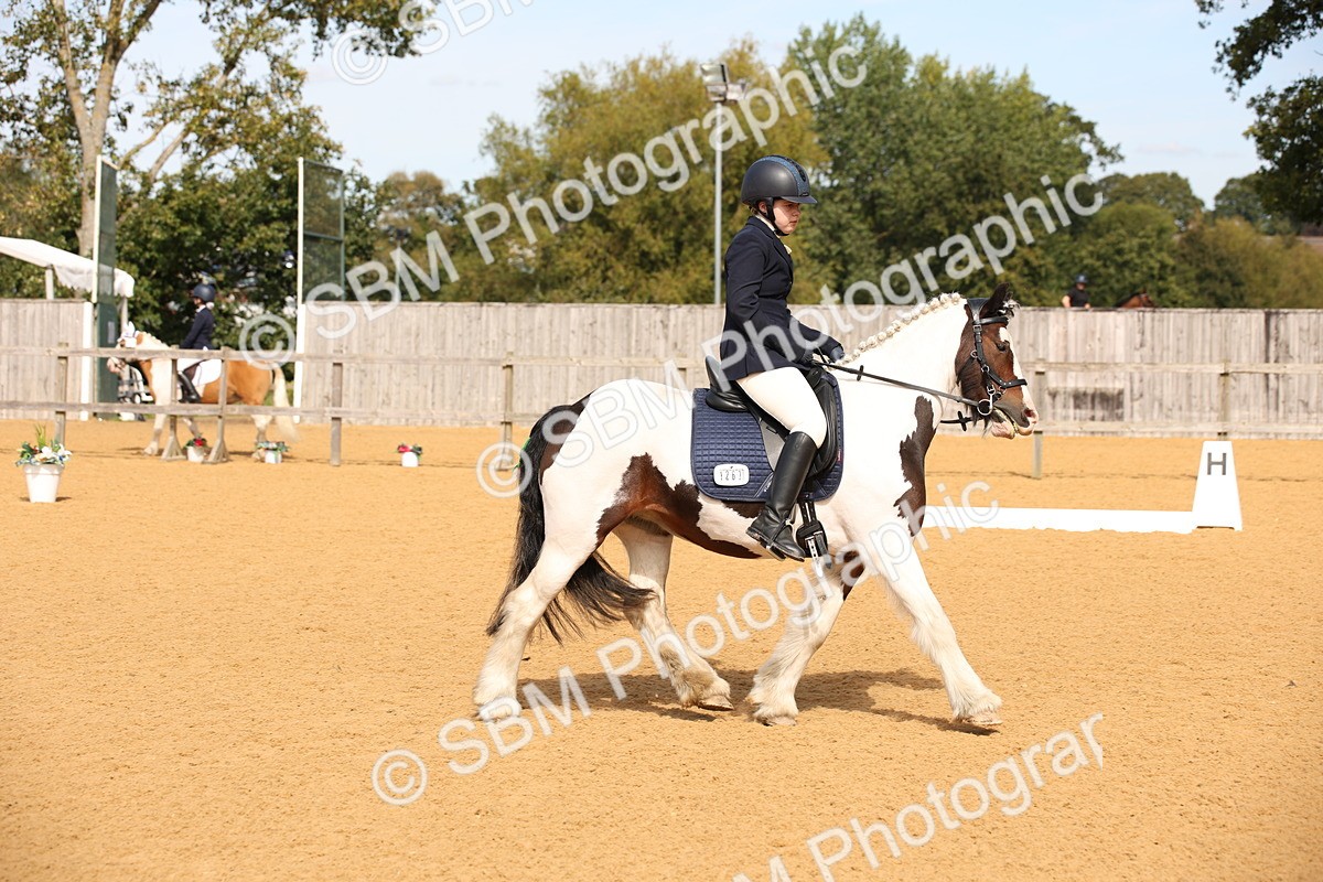 SBM_21779 - D5 - Small Tour Championship - Intro C