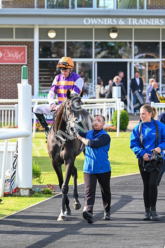 060625-Race 8-Arabian Cobra-5758 - Race 8