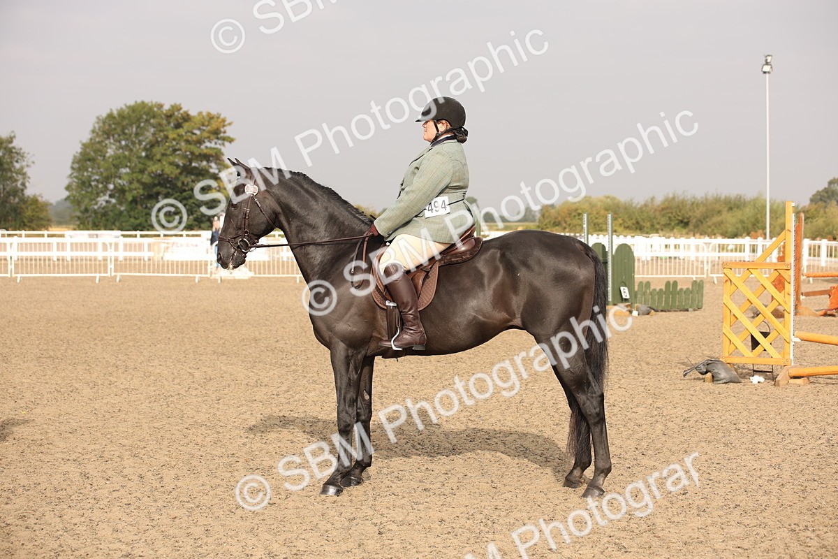 SBM_10229 - Class 402 Riding Club Horse