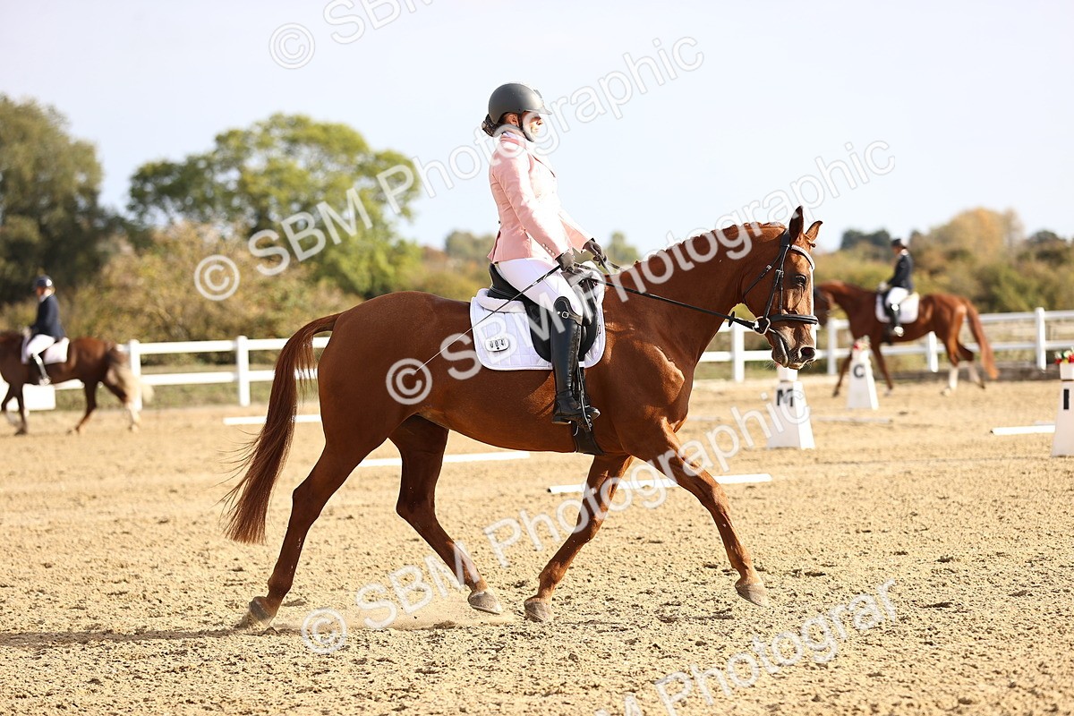 SBM_009153 - Class 2 - P5