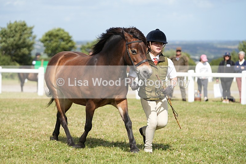 DSC07625 - Class 62: Child Handler