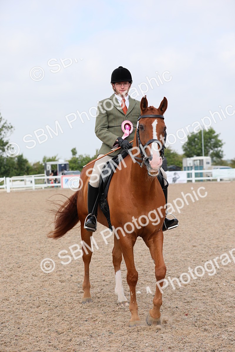 SBM_11492 - Class 305 Ridden Foreign Breeds- Pure Bred