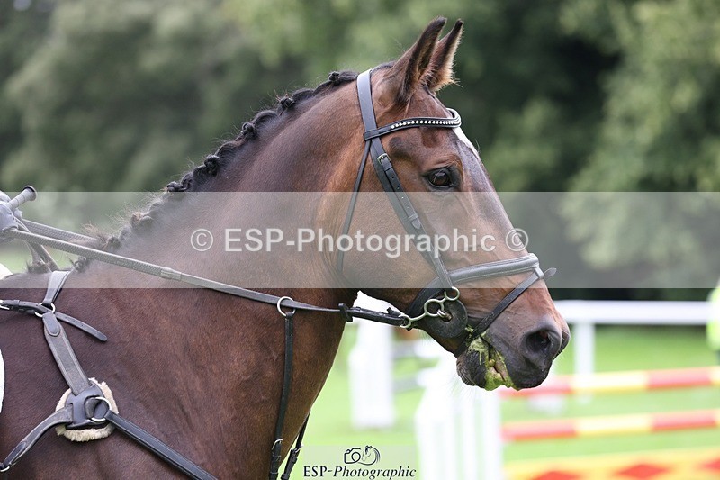 230805-111833-00718 - SJ 11 to 11.55