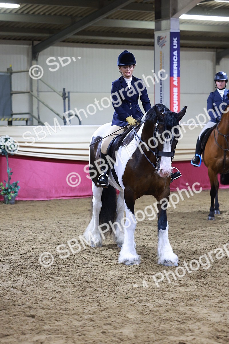 SBM_21368 - Class T - Working Veteran Champs