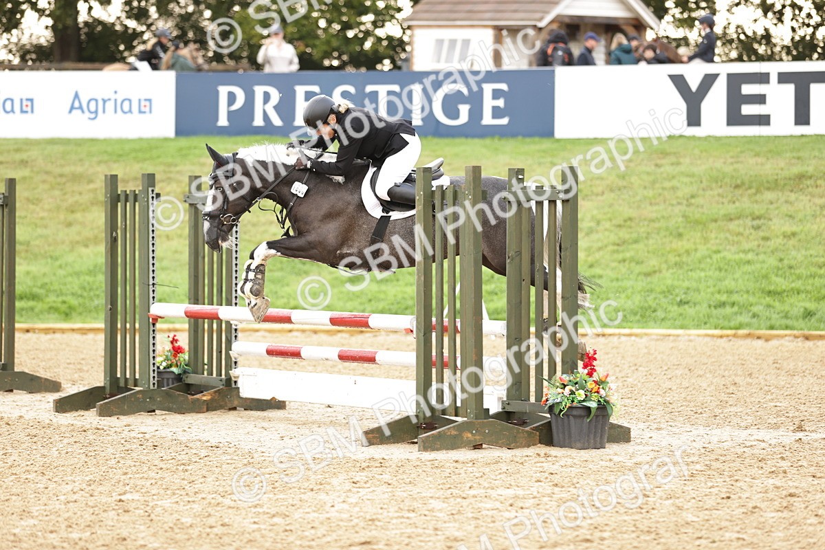 SBM_32998 - J38 - Senior Horse & Pony 80cm Championship