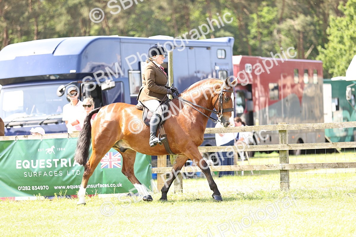 SBM_13697 - Class 77 - LIHS BSHA Rising Star Cobs