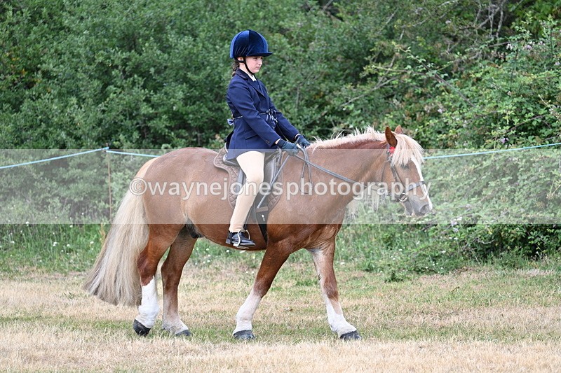 WJ7_0267 - Class 2 Best rider