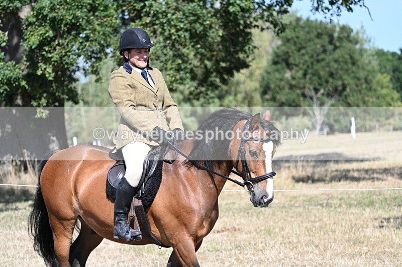 WJ7_3526 - Class 9 Mountain & Moorland Ridden