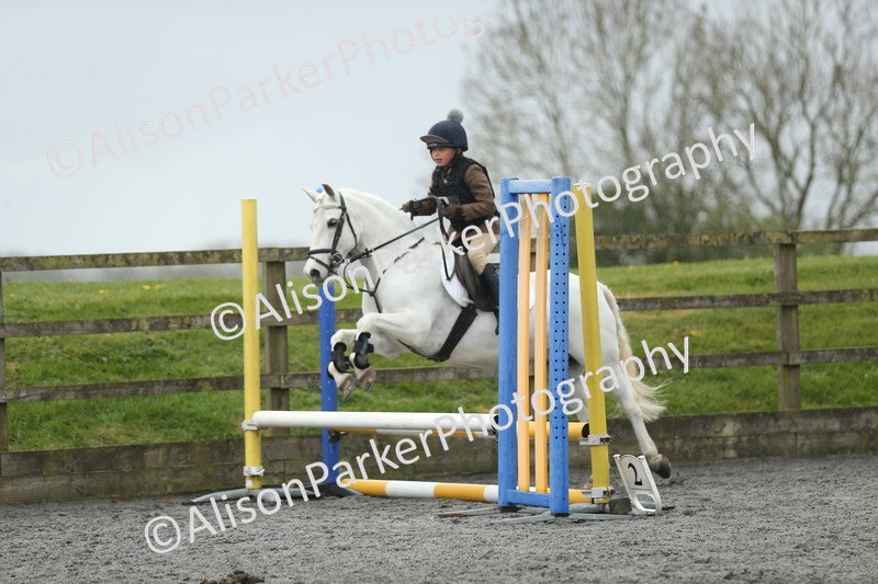 20260412-1864 - Show Jumping