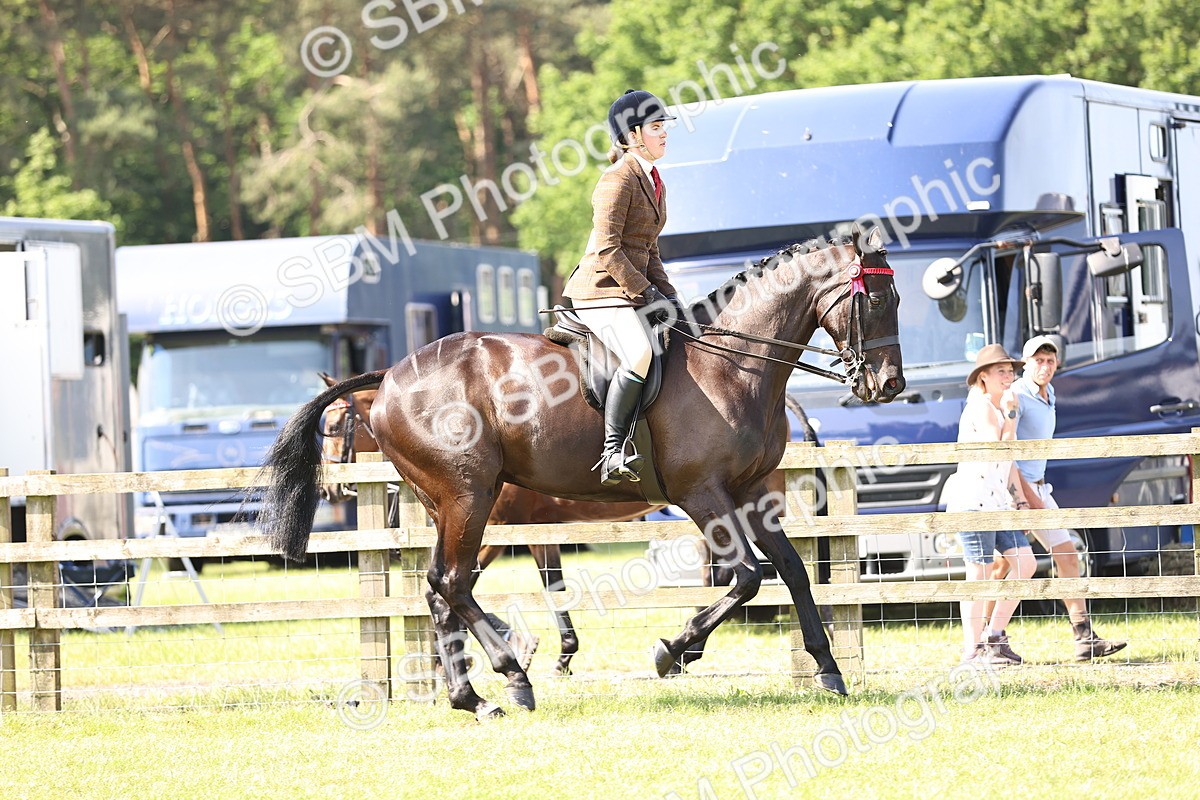 SBM_12980 - Class 75-76 LIHS BSHA Rising Star Hack Riding Horse