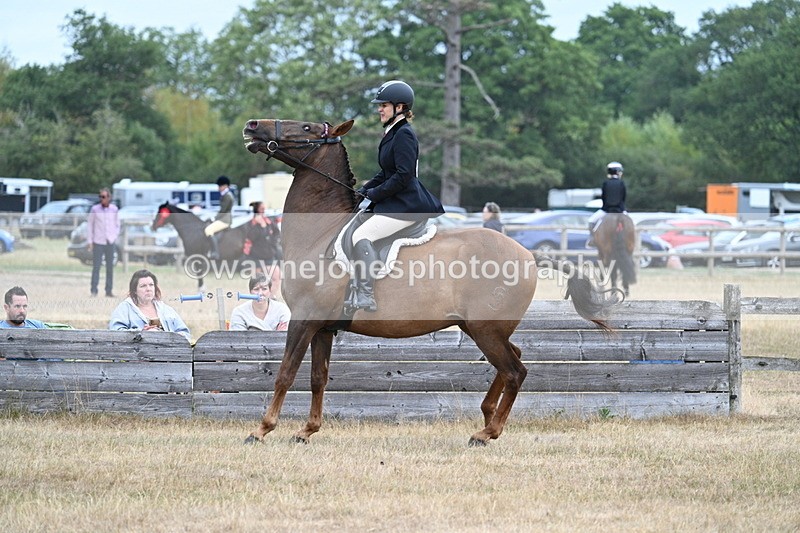 WJ7_0823 - Class 7 Riding Club Show Horse