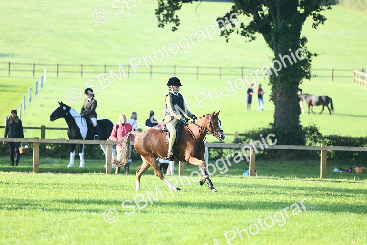 SBM_33384 - S28 - Nursery Stakes Working Hunter Pony