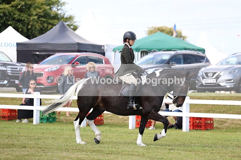 3E7A9662 - Class 5: Rising Star Lightweight/Heavyweight Cobs