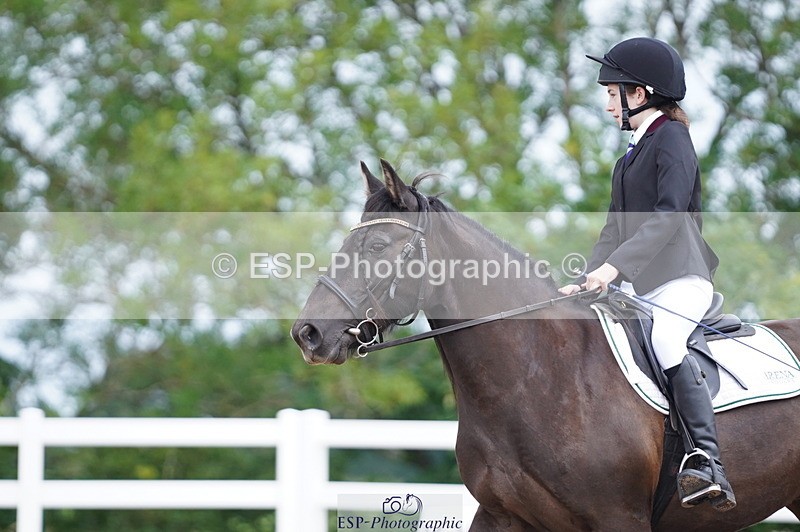 240809A-095112-00340 - Dressage Competition