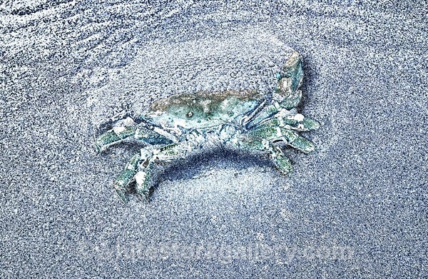  - The Sand Gallery