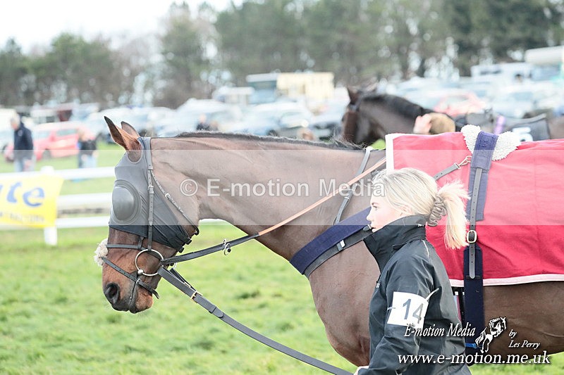 PtP 141225  2199 - New Forest Hounds PtP Larkhill 14/12/25