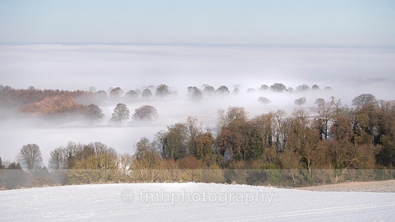Freezing Fog. - Snow Scene's /Winter