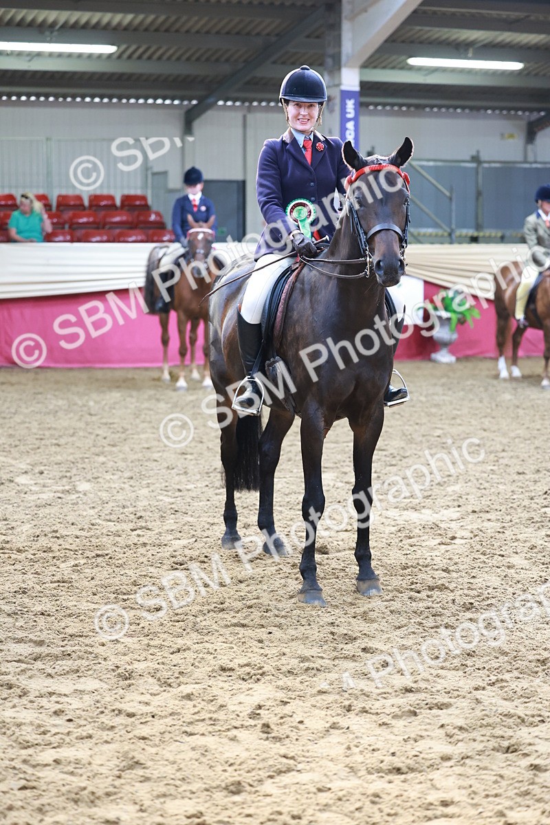 SBM_12000 - Class 102 - Equitation (Best Rider) Adult