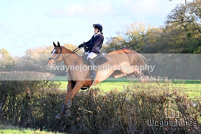 WJ7_4986 - Edited examples