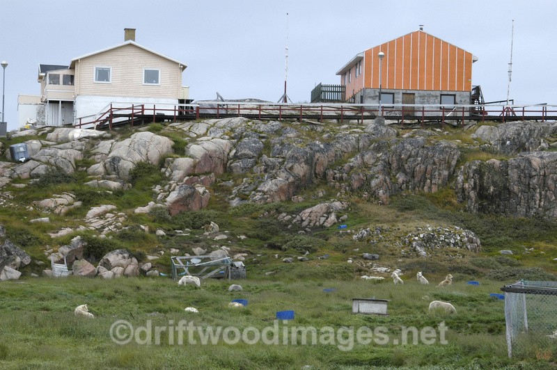 Illuliisat - Greenland West Coast