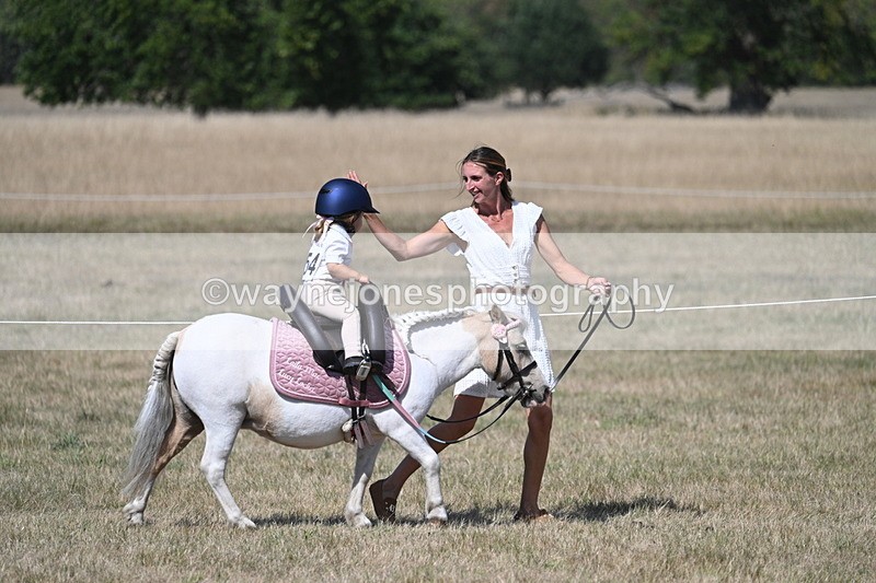 WJ7_1240 - Class 41 Prettiest Mare