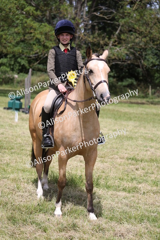 20260614-2148 - Class 21 - Novice Working Hunter Pony