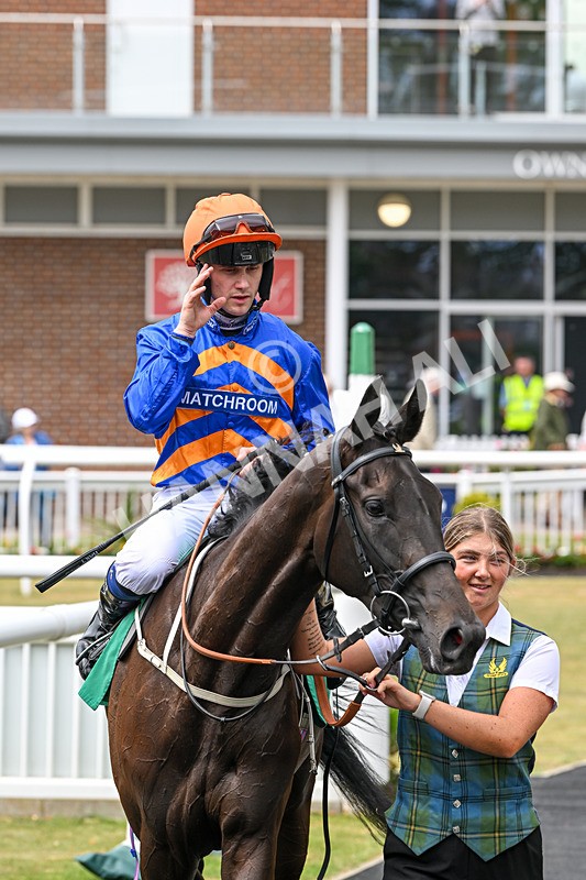 170625-Race 2-Ghaiyya-4889 - Race 2