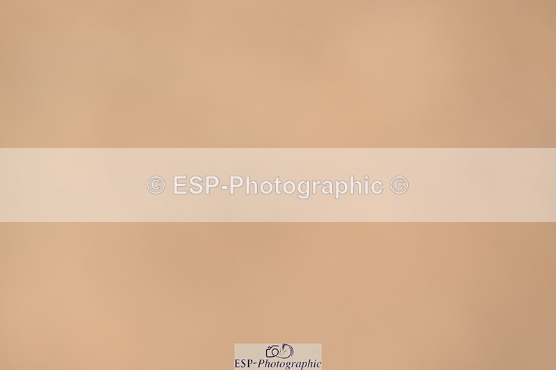 240323A-133546-01978 - UnA Intro A and B