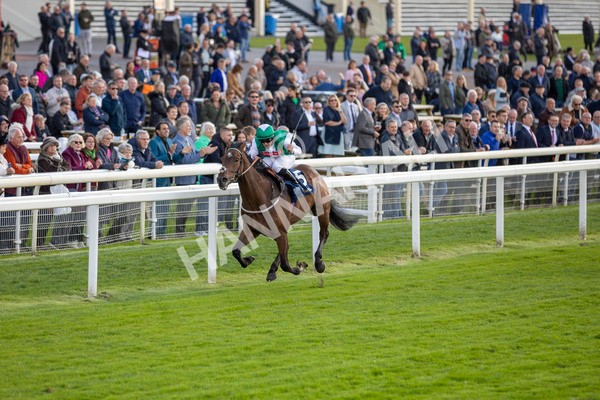 111024-Race 3-Minstrel Knight-6892 - Race 3 2.40pm William Hill Finale Handicap