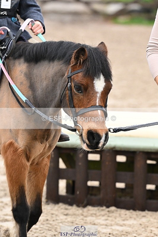 251109A-092109-00171 - Cls 01 40cm SJ LR