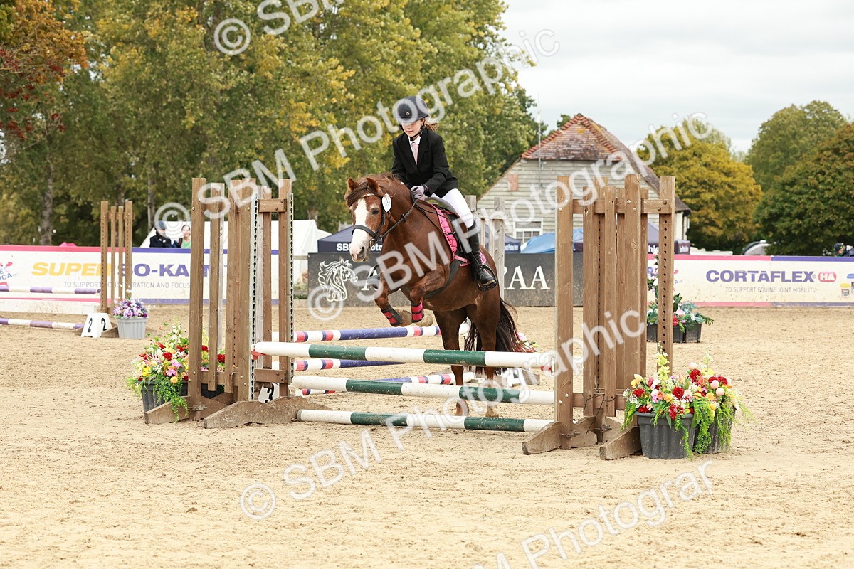SBM_67088 - J13 - Junior Pony 60cm Championship