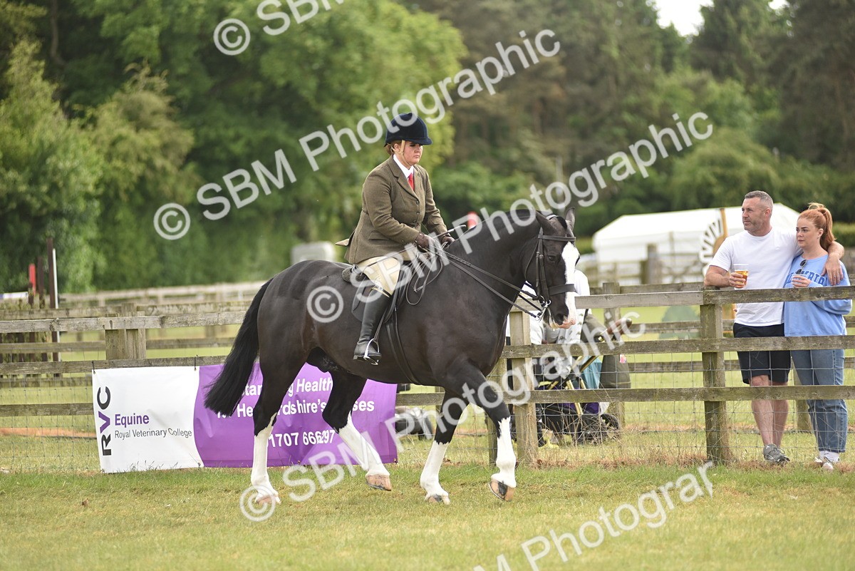 SBM_17746 - Class 122-123 - LIHS BHSA Raising Star Style and Performance Series