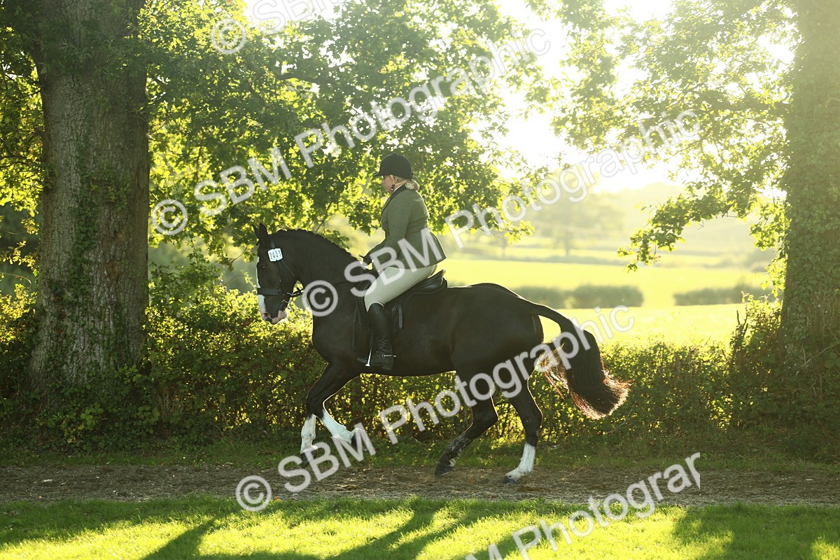 SBM_55643 - S14 - Riding Club Horse