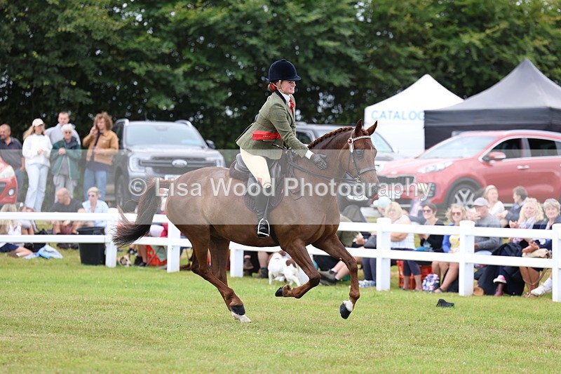 3E7A1276 - Class 8: Open Riding Horse/Hack