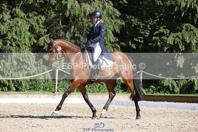 230526-162321-07809 - 171-SLANEYSIDE_COOLEY-Lara_Chapple-WEDTrotUp+DR