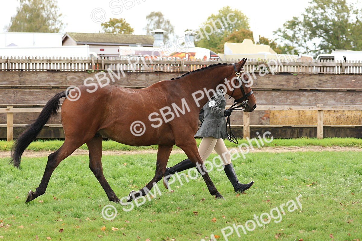 SBM_40774 - S25 -  Veteran In Hand