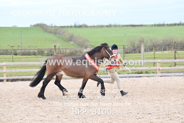 BPP_8100 - SUPREME CHAMPIONSHIP